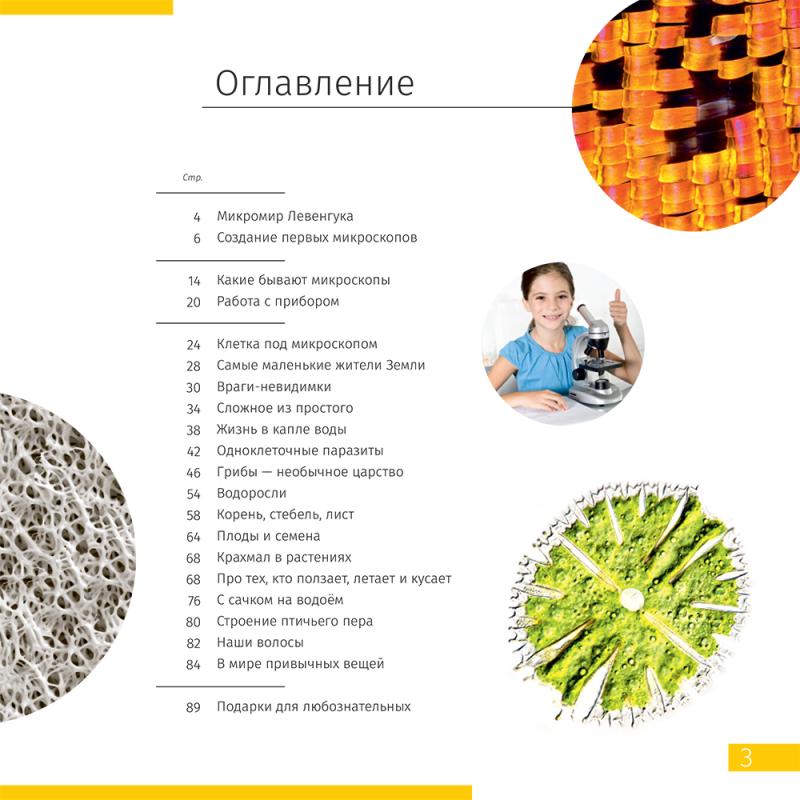 Görünmez Dünya. Bilgilendirici kitap