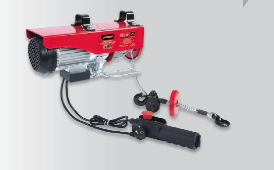 Rayno RYN11803 600-1200Kg Endüstriyel Elektrikli Mini Vinç