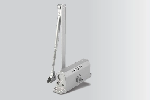 Rayno RYN11552 65-85kg Gümüş Kapı Hidroliği
