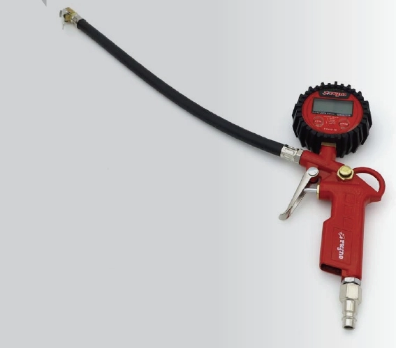 Rayno RYN10154 Dijital Lastik Şişirme Tabancası