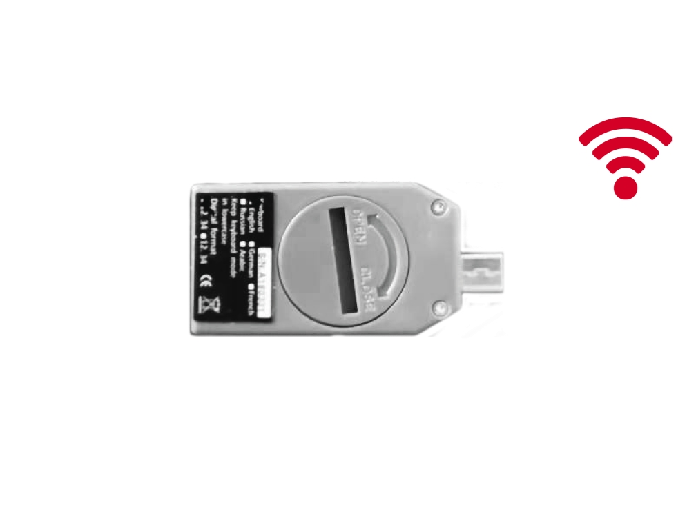 Werka WP-24GR1 Kablosuz Bağlantı Ekipmanı Alıcı
