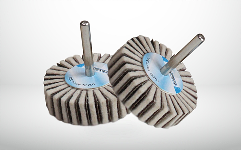 Karbosan 955220 60x30mm Saplı Keçe Kombi Mop 10’lu