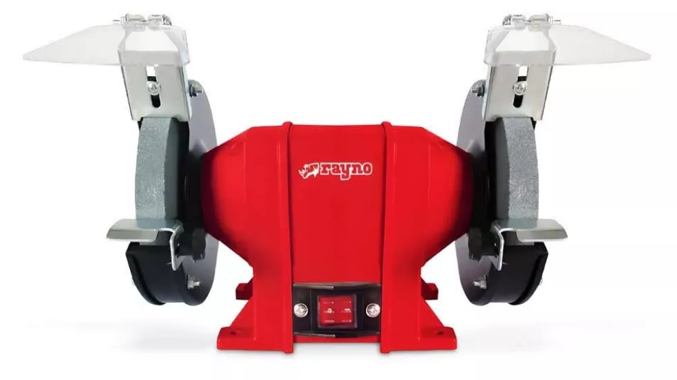 Rayno RYN10851 250W Taş Motoru 150mm