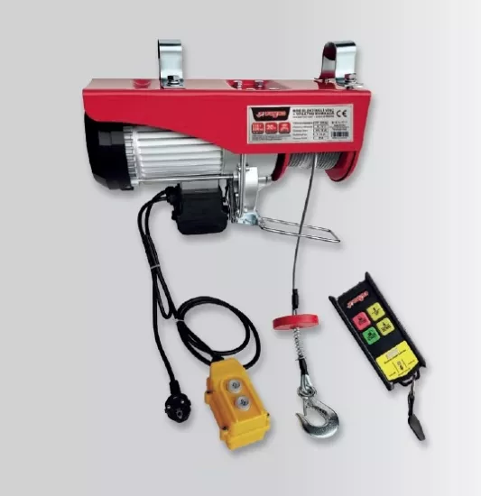 Rayno RYN11155 150-300Kg Uzaktan Kumandalı Elektrikli Mini Vinç