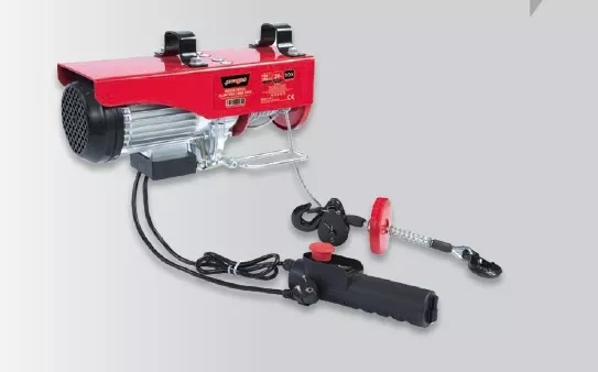 Rayno RYN11801 250-500Kg Endüstriyel Elektrikli Mini Vinç
