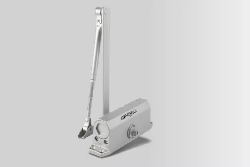 Rayno RYN11550 25-45kg Gümüş Kapı Hidroliği