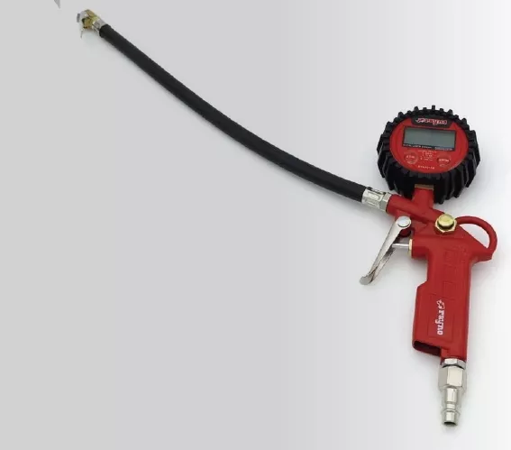 Rayno RYN10154 Dijital Lastik Şişirme Tabancası