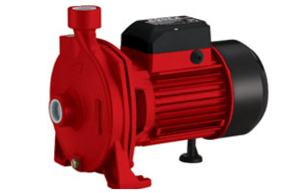 Rodex RDX880 1100W Su Pompası